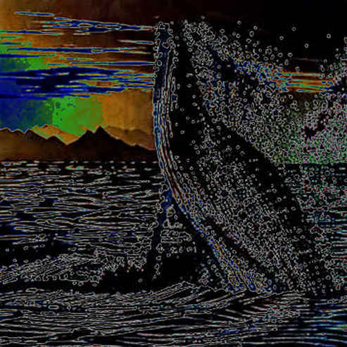 A Whale Just Moved $9.2M in LINK to Coinbase. Here’s What the Code Tells Us.