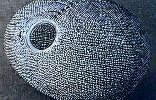 The AI Ghost in the Machine: How Over One-Third of New Web Pages Are Poisoning Crypto's Information Ecosystem