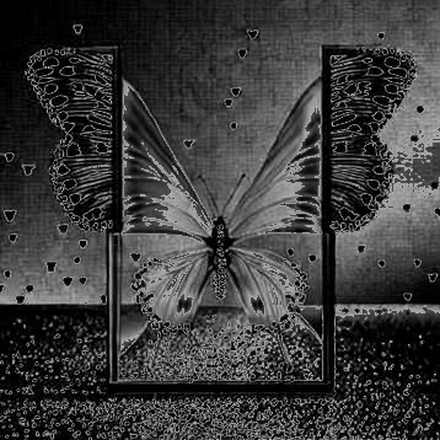 Coldcard’s Entropy Autopsy: The Firmware Bug That Just Broke Bitcoin’s Last Sanctuary Coldcard’s Entropy Autopsy: The Firmware Bug That Just Broke Bitcoin’s Last Sanctuary