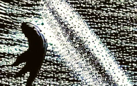 Nine Dimensions of Nothing: The Empty Analysis That Exposes Crypto's Information Crisis Nine Dimensions of Nothing: The Empty Analysis That Exposes Crypto's Information Crisis