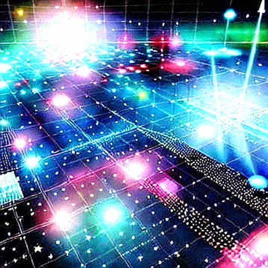 The Nvidia Mirage: Why the Market's Favorite AI Bet Is a Data Trap The Nvidia Mirage: Why the Market's Favorite AI Bet Is a Data Trap